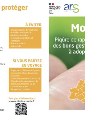 Les bons gestes à adopter pour limiter la prolifération des moustiques